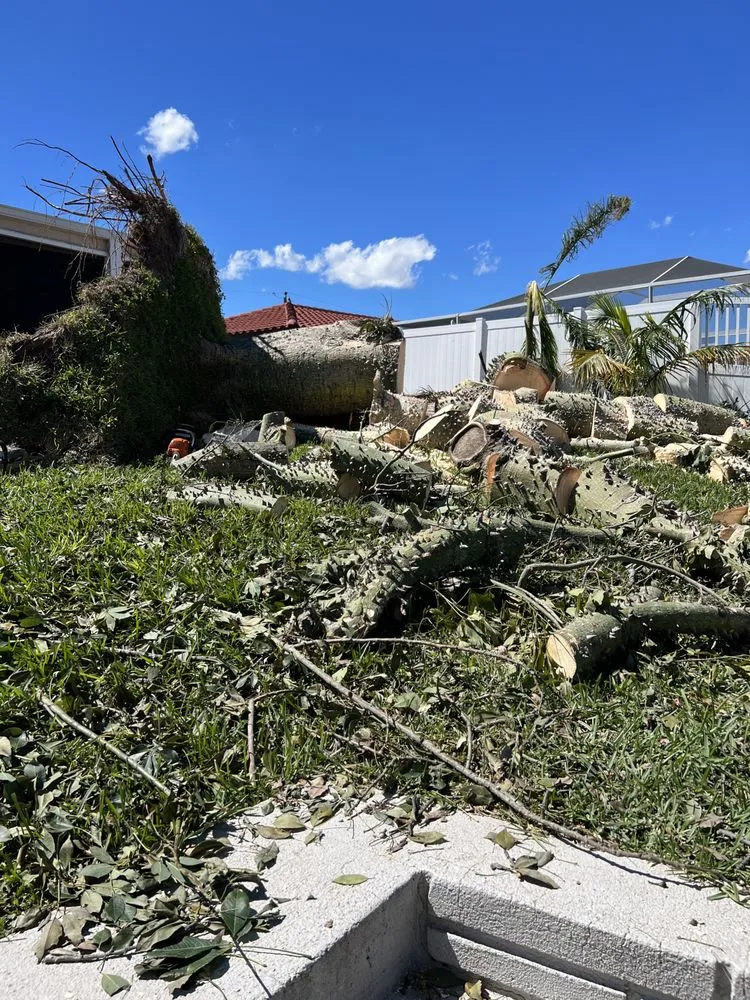 Top-rated residential landscaping in Hollywood, FL by Always Available Lawn Care