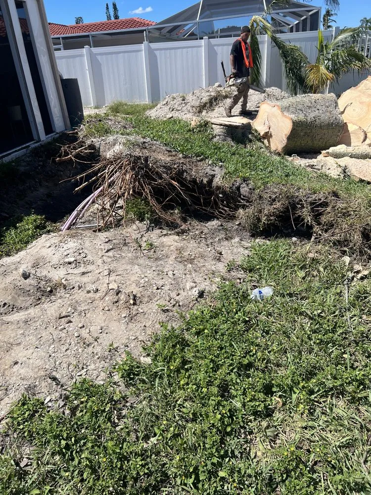 Top-rated landscaping services for beautiful yards in Hollywood, FL by Always Available Lawn Care