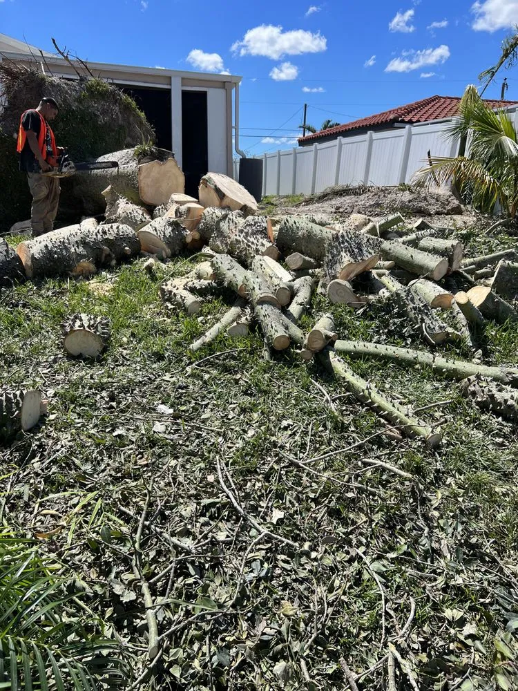 Local yard cleanup service experts serving Hollywood, FL - Always Available Lawn Care