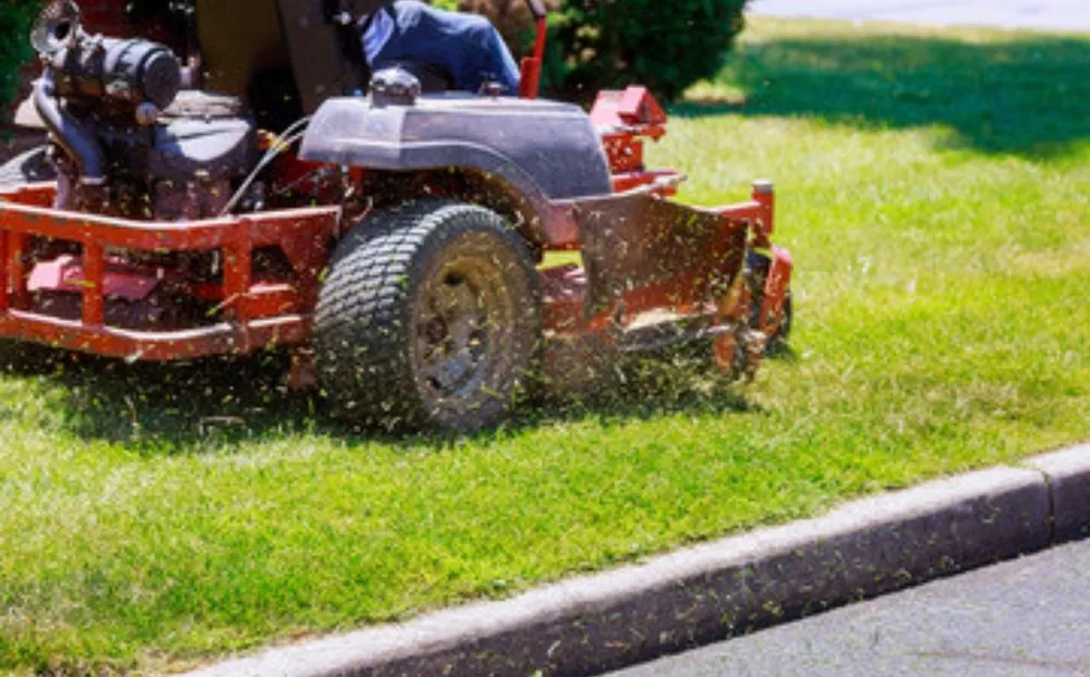 Reliable landscaping services experts serving Hollywood, FL - Always Available Lawn Care