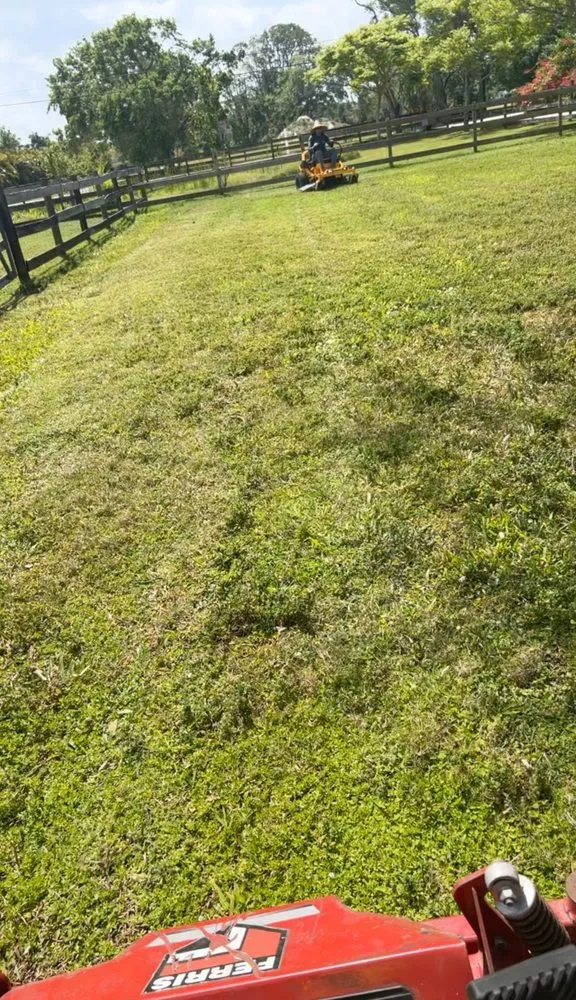 Professional residential landscaping experts serving Hollywood, FL - Always Available Lawn Care