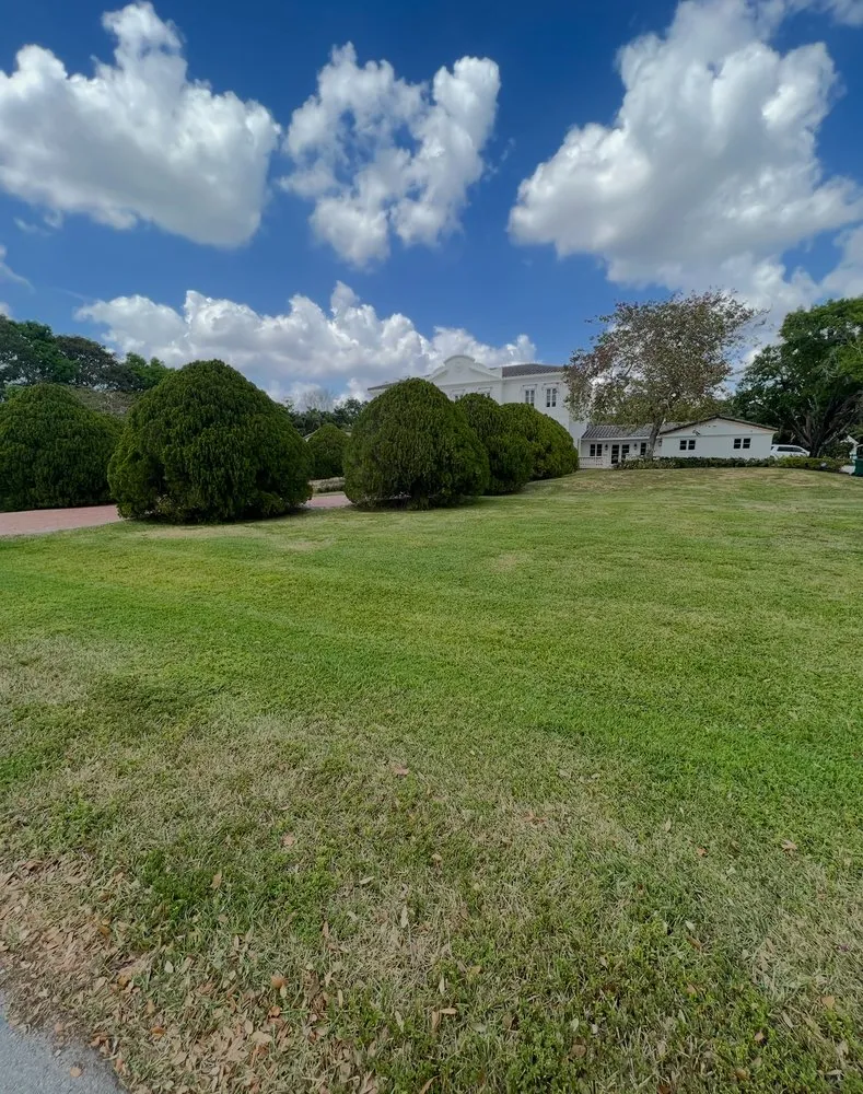 Top-rated garden landscaping in Hollywood, FL - Always Available Lawn Care