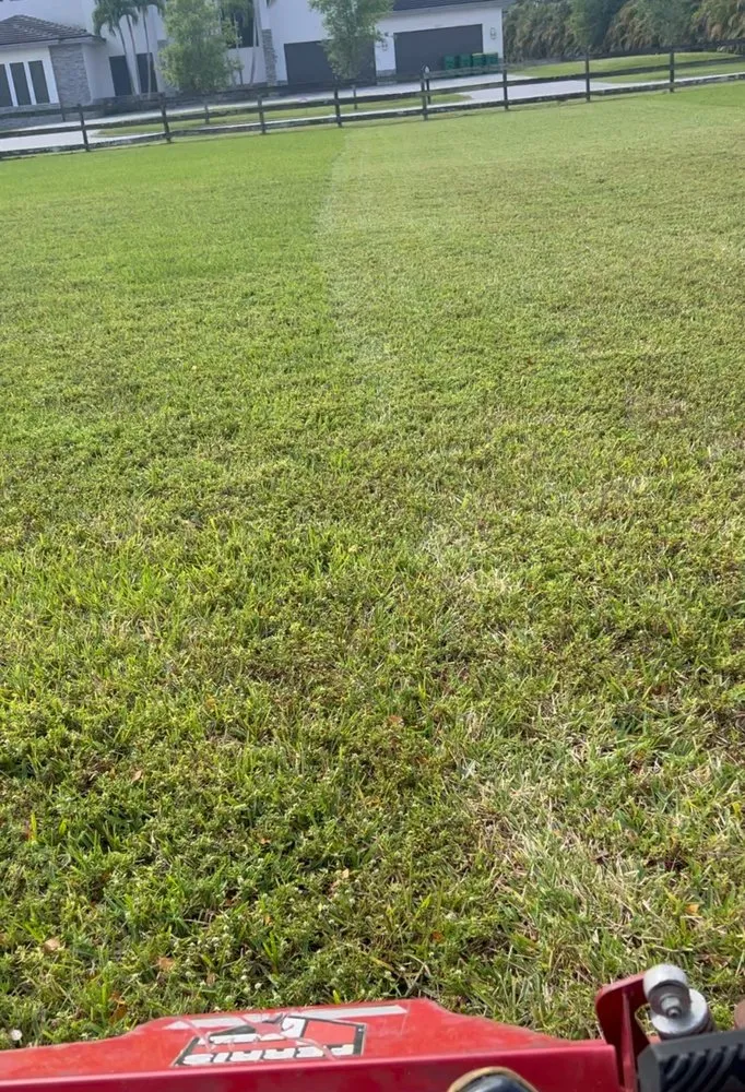 Reliable landscape design for homes in Hollywood, FL by Always Available Lawn Care