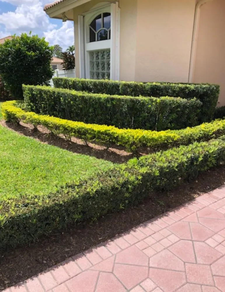 Custom yard cleanup service for outdoor upgrades in Hollywood, FL by Always Available Lawn Care