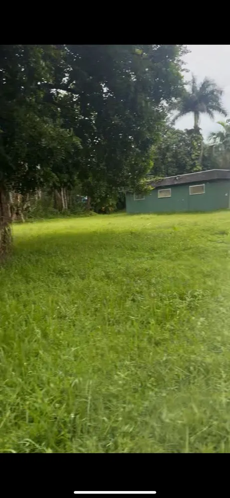 Trusted landscape design in Hollywood, FL by Always Available Lawn Care