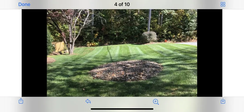 Local landscape design in Boonville, NC - Always Cutting Up
