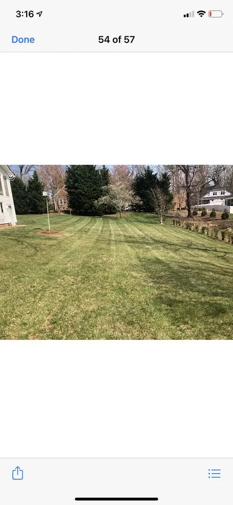 Top-rated residential landscaping in Boonville, NC by Always Cutting Up