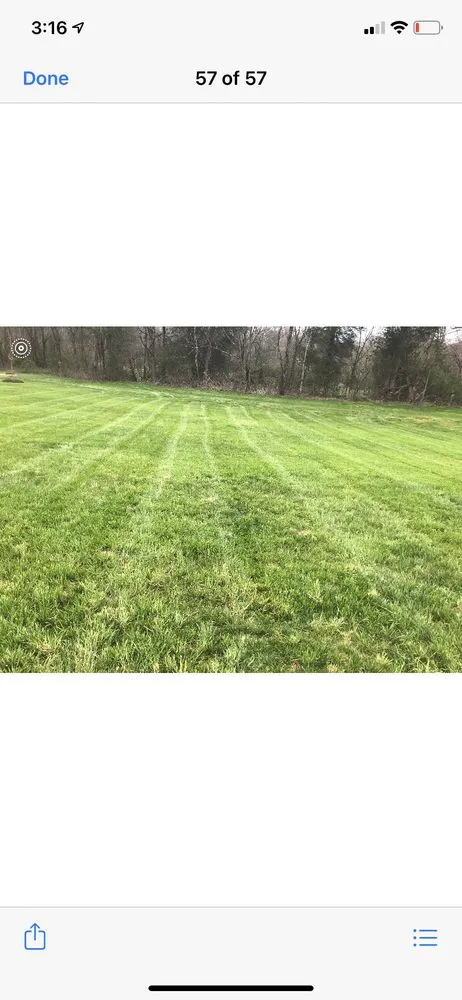 Expert yard cleanup service near you in Boonville, NC by Always Cutting Up