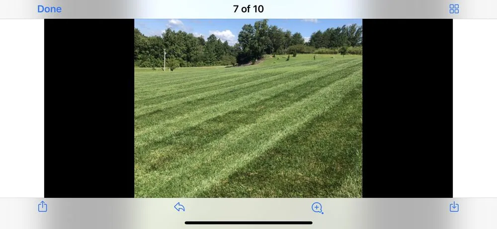 Expert yard cleanup service in Boonville, NC - Always Cutting Up