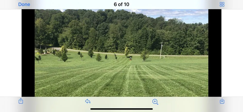 Custom lawn care service in Boonville, NC - Always Cutting Up
