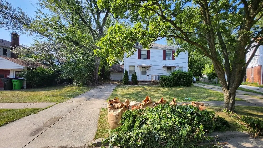 Expert yard cleanup service in Lorain, OH by Always Exclusives