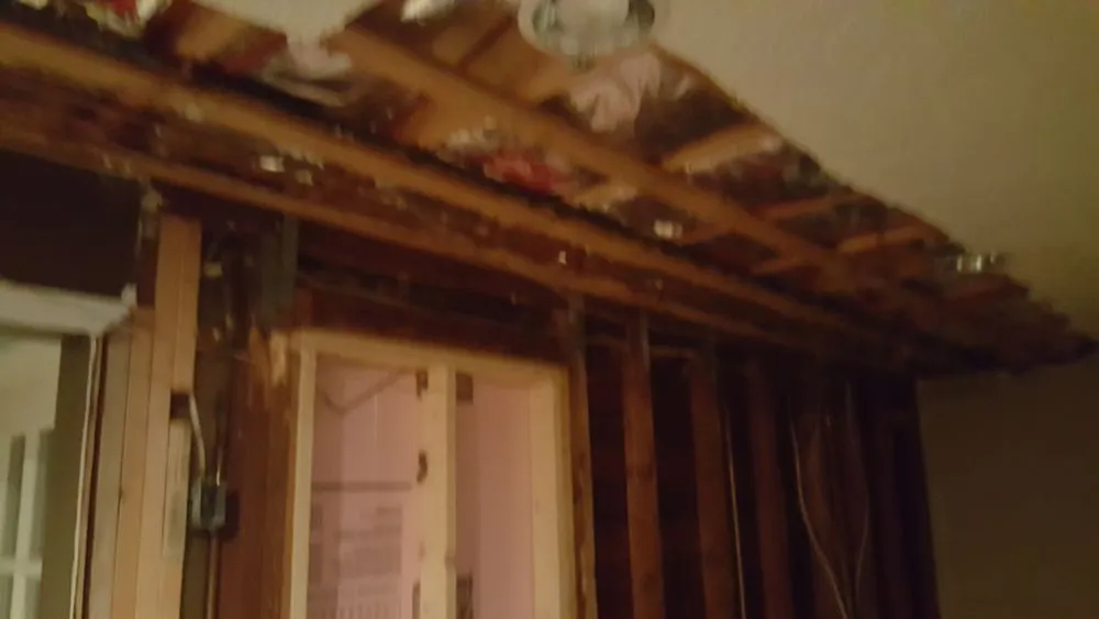 Expert yard cleanup service in Lorain, OH - Always Exclusives