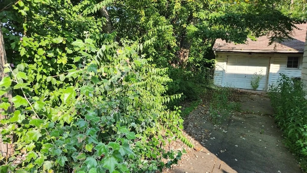 Affordable yard cleanup service in Lorain, OH - Always Exclusives