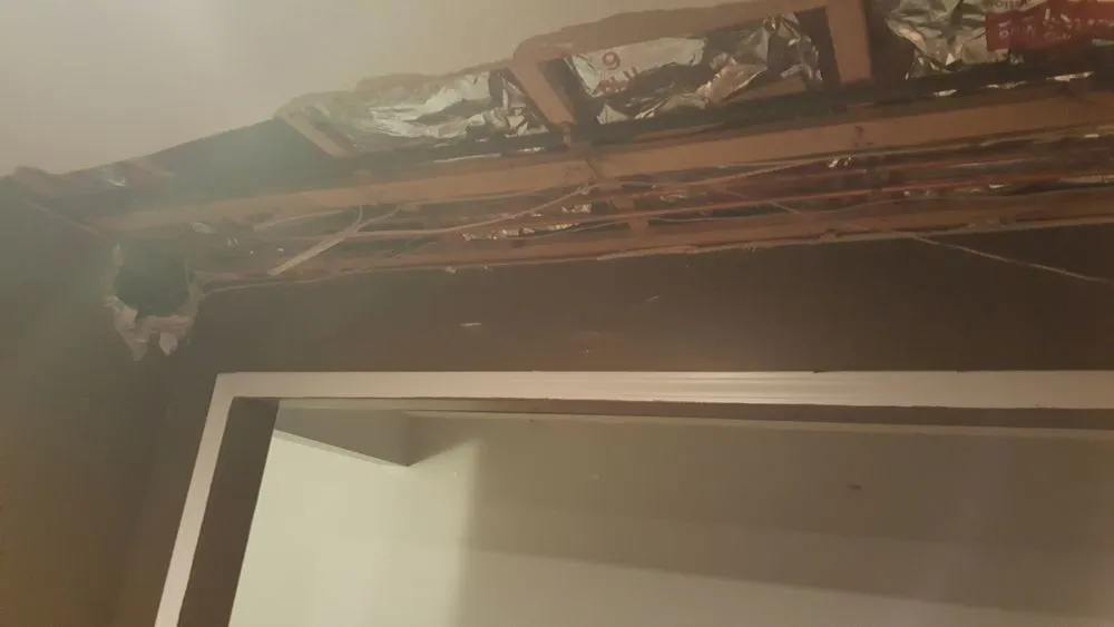 Local lawn care service experts serving Lorain, OH - Always Exclusives