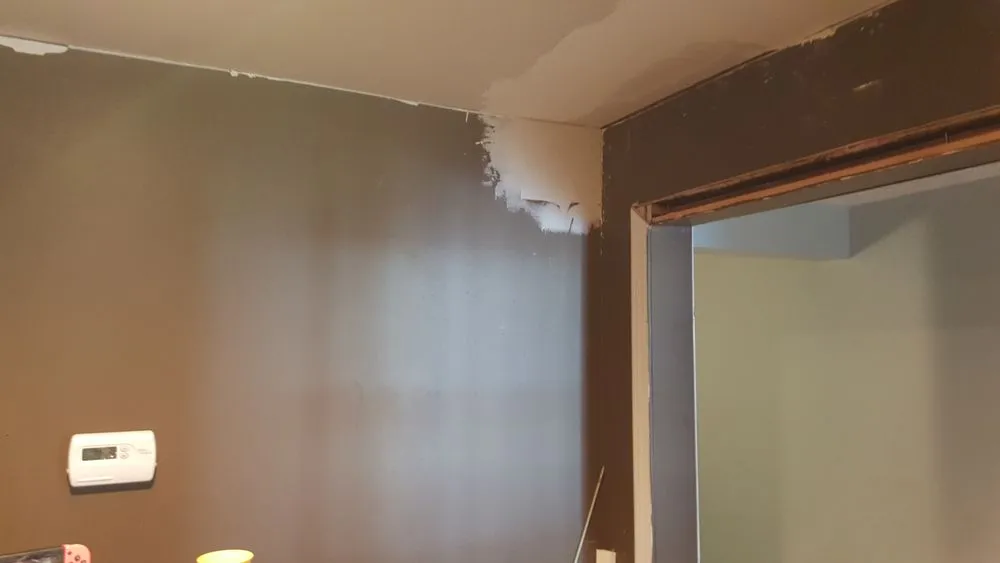 Top-rated lawn care service in Lorain, OH - Always Exclusives