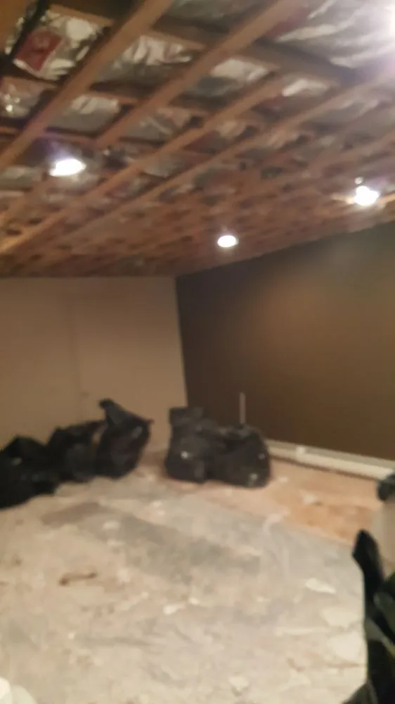 Trusted lawn care service in Lorain, OH by Always Exclusives