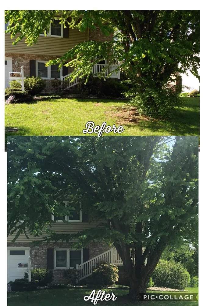 Expert lawn mowing service for residential properties in Mechanicsburg, PA by Always Fresh Landscaping