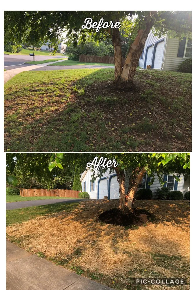 Local lawn mowing service for year-round maintenance across Mechanicsburg, PA - Always Fresh Landscaping