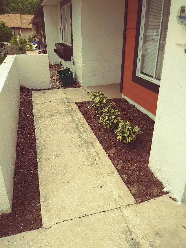 Expert yard maintenance for outdoor upgrades in Casselberry, FL by Always Green Always Growing