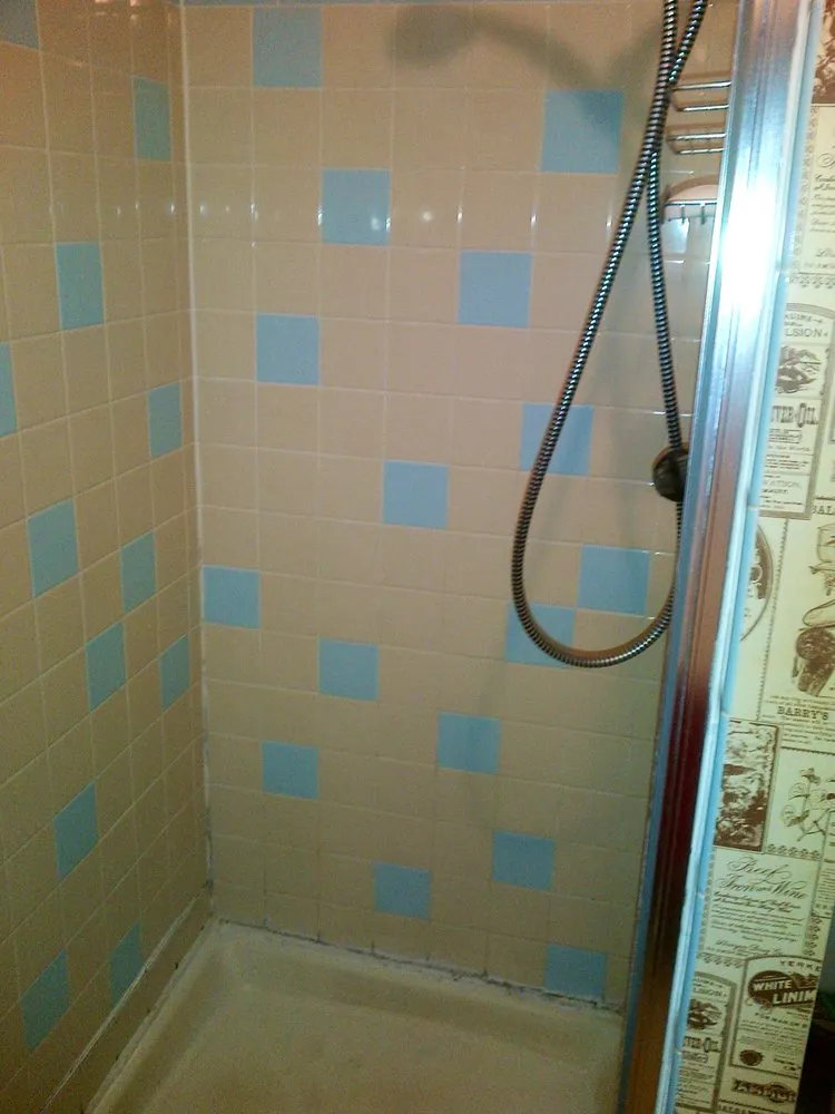 Custom yard cleanup service experts serving Lakewood, CO - Always Green