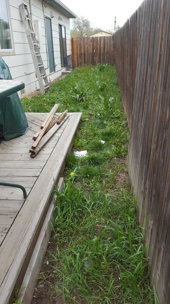 Local yard maintenance in Lakewood, CO by Always Green