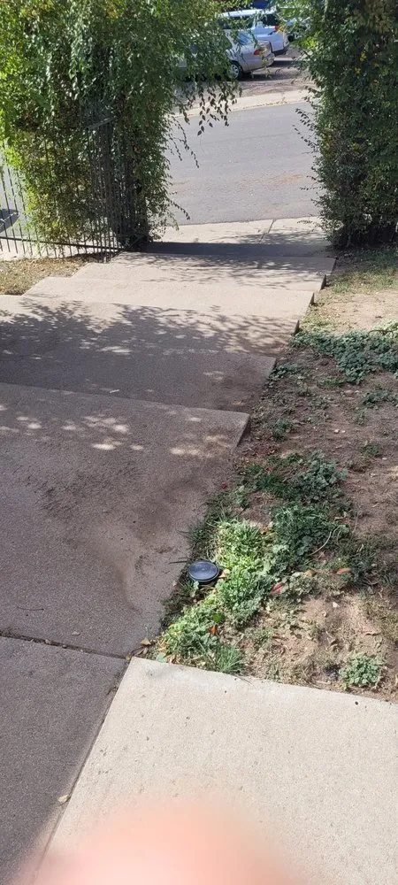 Expert landscape installation experts serving Lakewood, CO - Always Green