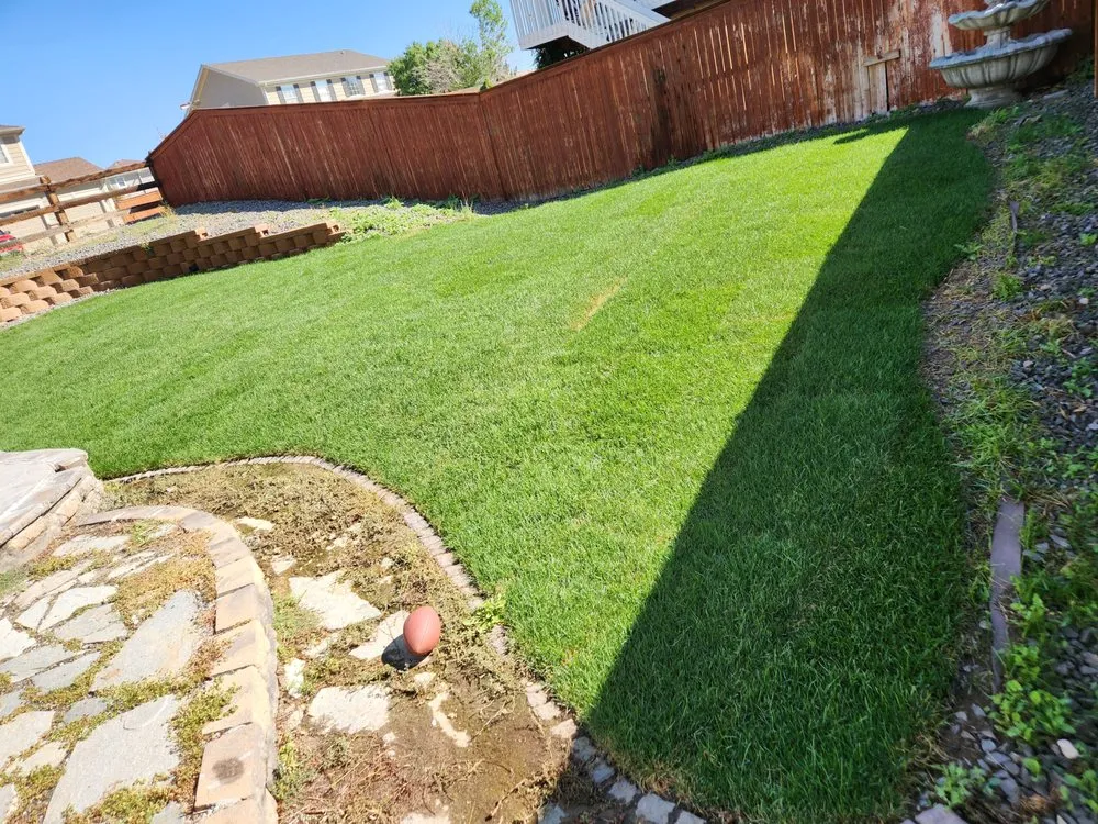 Top-rated garden landscaping experts serving Lakewood, CO - Always Green