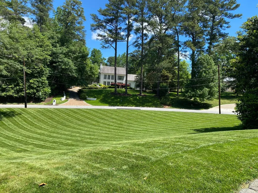 Top-rated yard cleanup service near you in Norcross, GA by Always Green Landscape & Garden