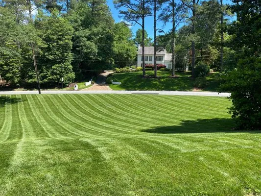 Always Green Landscape & Garden Logo