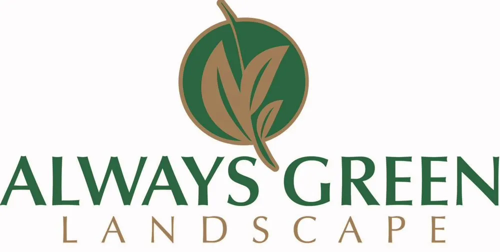 Expert yard cleanup service with custom design in Indio, CA by Always Green Landscape