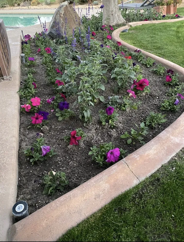 Top-rated landscape design experts serving Indio, CA - Always Green Landscape