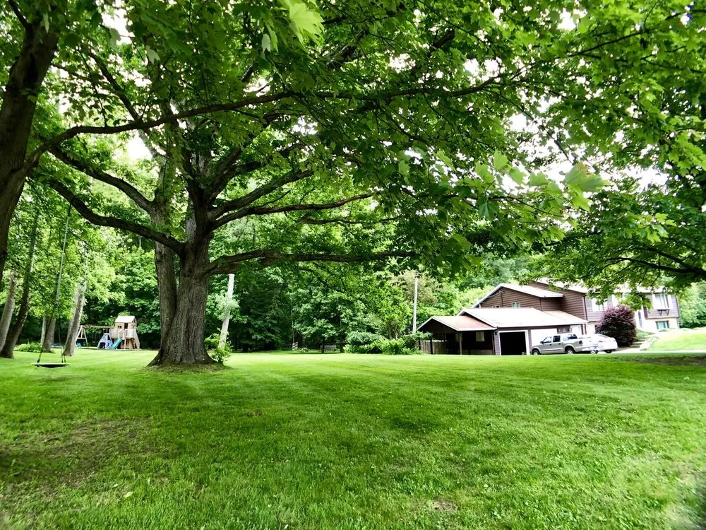 Top-rated lawn care service in Twinsburg, OH - Always Green Landscaping & Construction