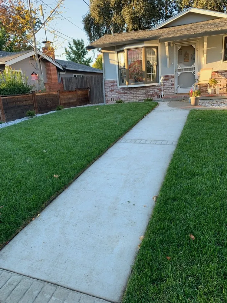Top-rated yard cleanup service for homes across American Canyony, CA - Always Green Landscaping & Design