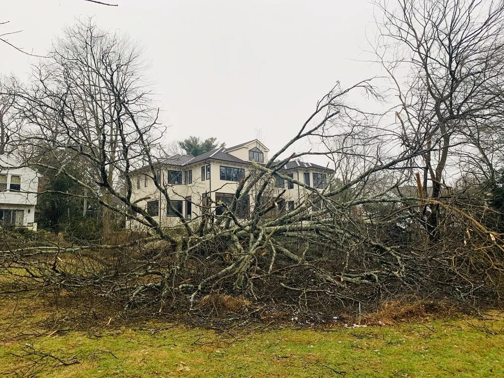 Professional garden landscaping for beautiful yards in Mount Kisco, NY by Always Green Landscaping