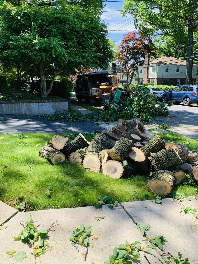 Reliable yard cleanup service for homes in Mount Kisco, NY by Always Green Landscaping