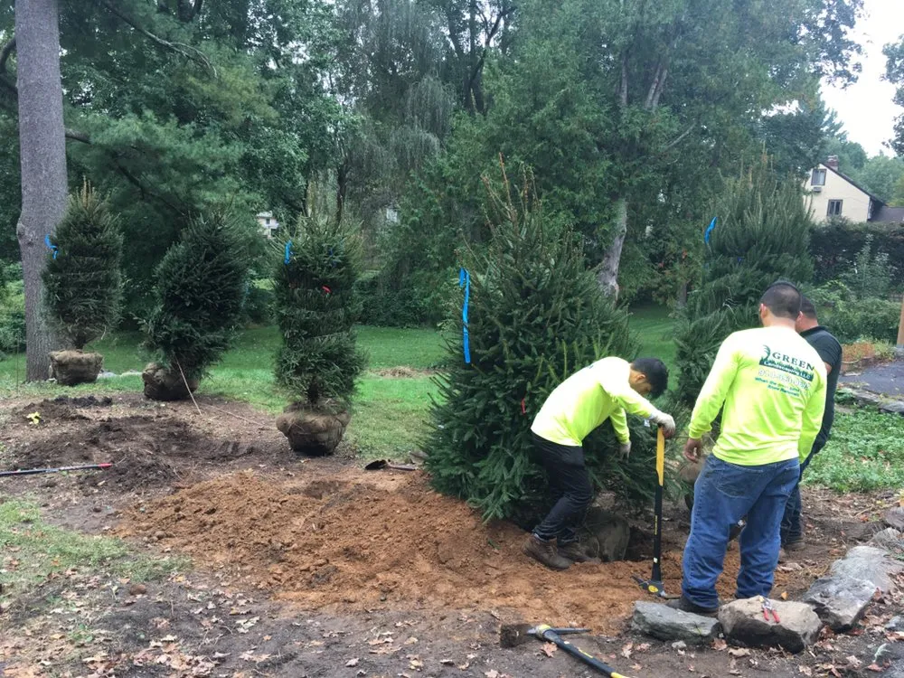 Local yard cleanup service experts serving Mount Kisco, NY - Always Green Landscaping