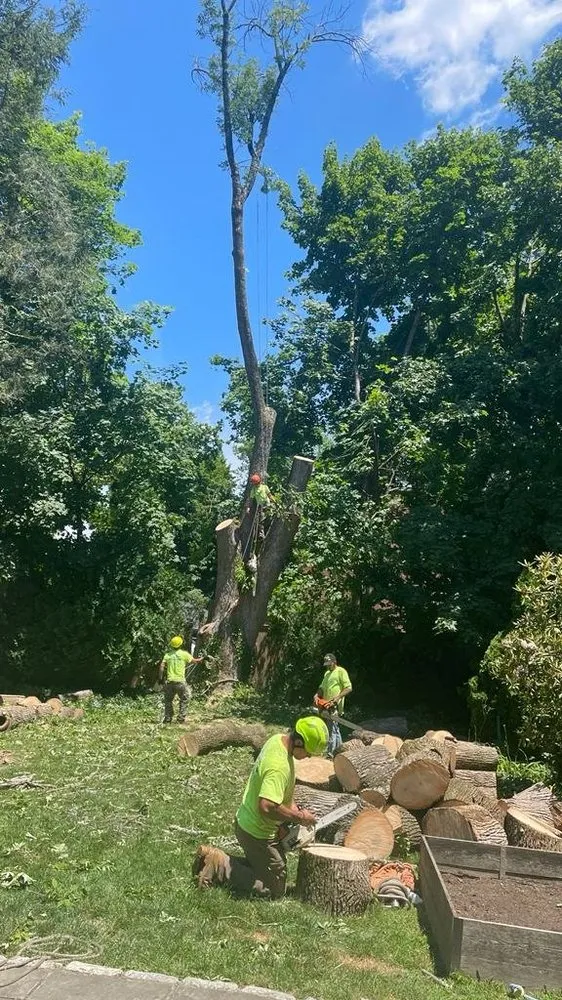 Custom landscape installation in Mount Kisco, NY by Always Green Landscaping