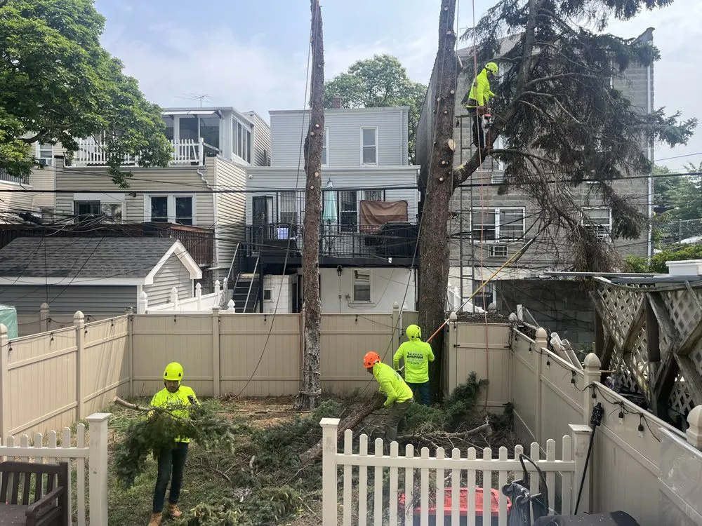 Top-rated lawn mowing service for outdoor upgrades across Mount Kisco, NY - Always Green Landscaping