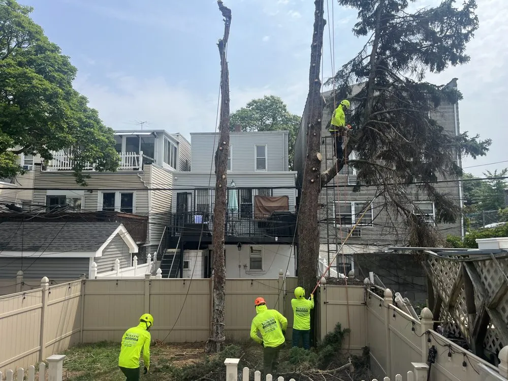 Trusted residential landscaping in Mount Kisco, NY - Always Green Landscaping