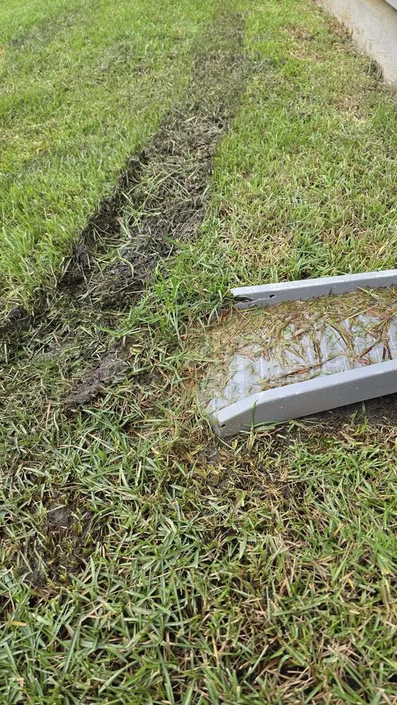 Trusted yard cleanup service with custom design in Myrtle Beach, SC by Always Green Landscaping