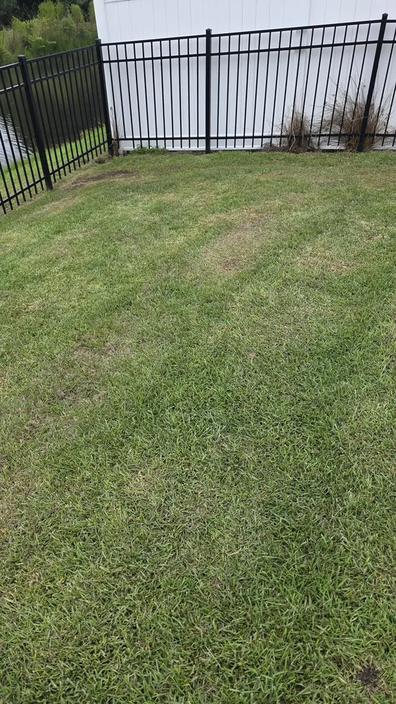 Expert lawn care service for residential properties across Myrtle Beach, SC - Always Green Landscaping