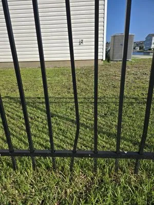 Always Green Landscaping Logo