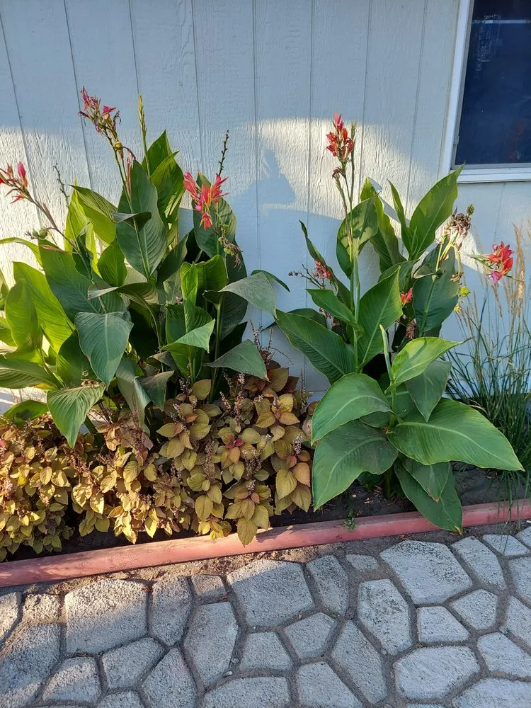 Local residential landscaping in Pasco, WA by Always Green Lawn Care