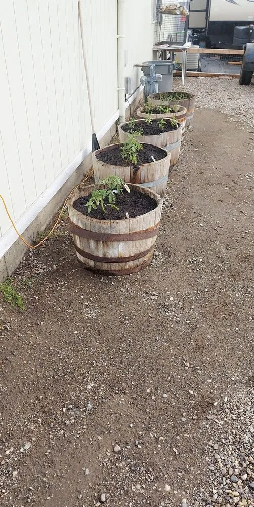 Local landscape design experts serving Pasco, WA - Always Green Lawn Care