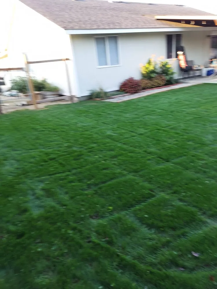 Reliable garden landscaping for homes across Pasco, WA - Always Green Lawn Care