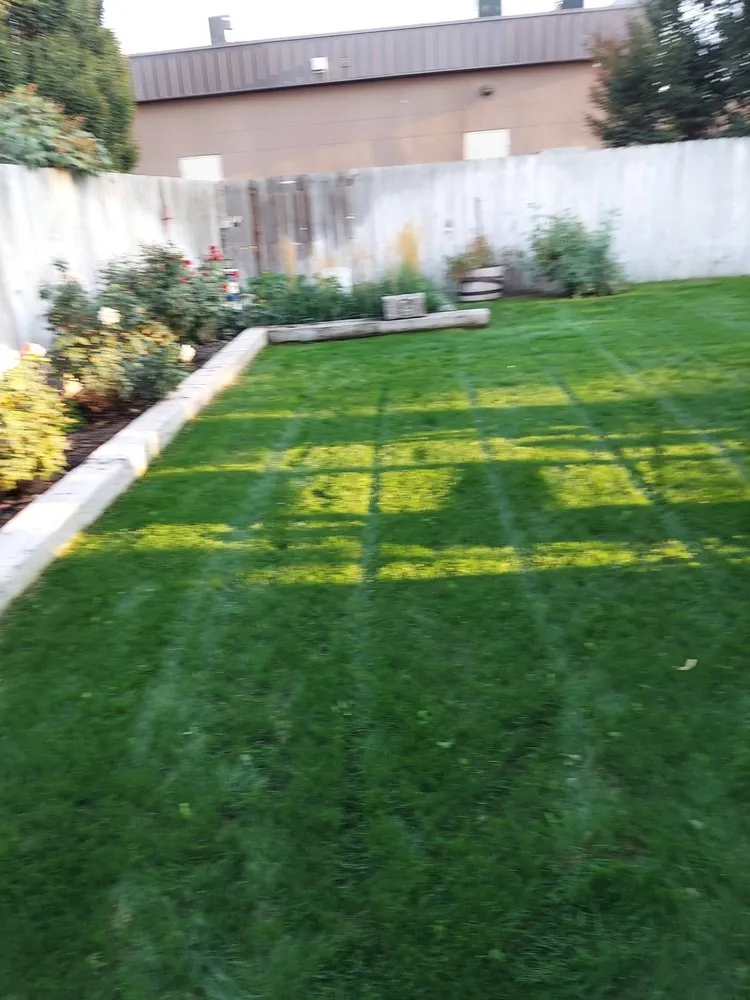 Professional outdoor landscaping for beautiful yards across Pasco, WA - Always Green Lawn Care