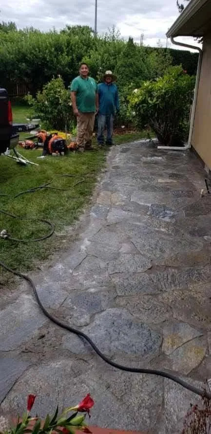 Trusted yard cleanup service for beautiful yards across Pasco, WA - Always Green Lawn Care