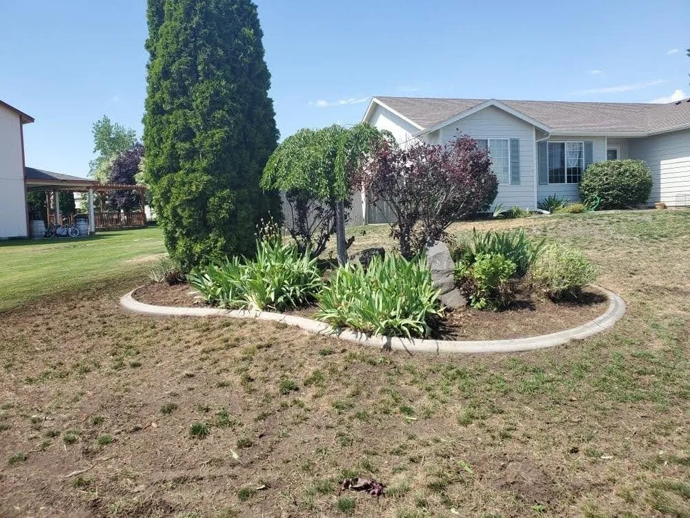 Custom yard maintenance for residential properties in Pasco, WA by Always Green Lawn Care