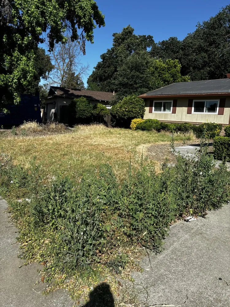 Reliable landscaping services in Stockton, CA by Always green lawn care