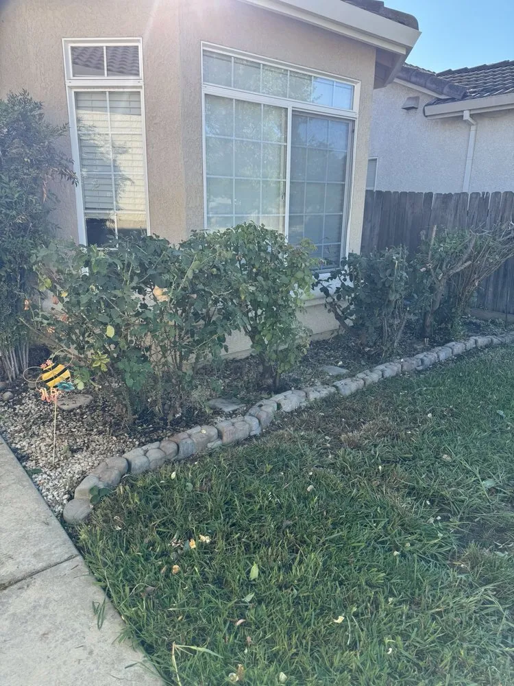 Trusted yard cleanup service in Stockton, CA by Always green lawn care